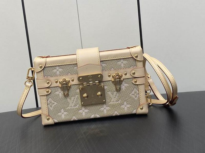 LV Handbags 67